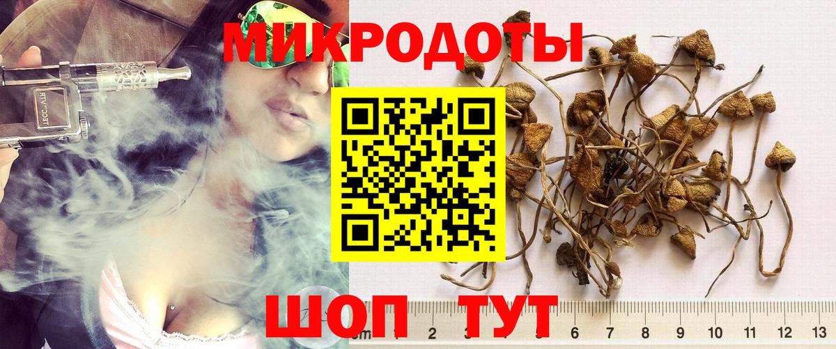 Псилоцибиновые грибы Psilocybine cubensis Комсомольск-на-Амуре