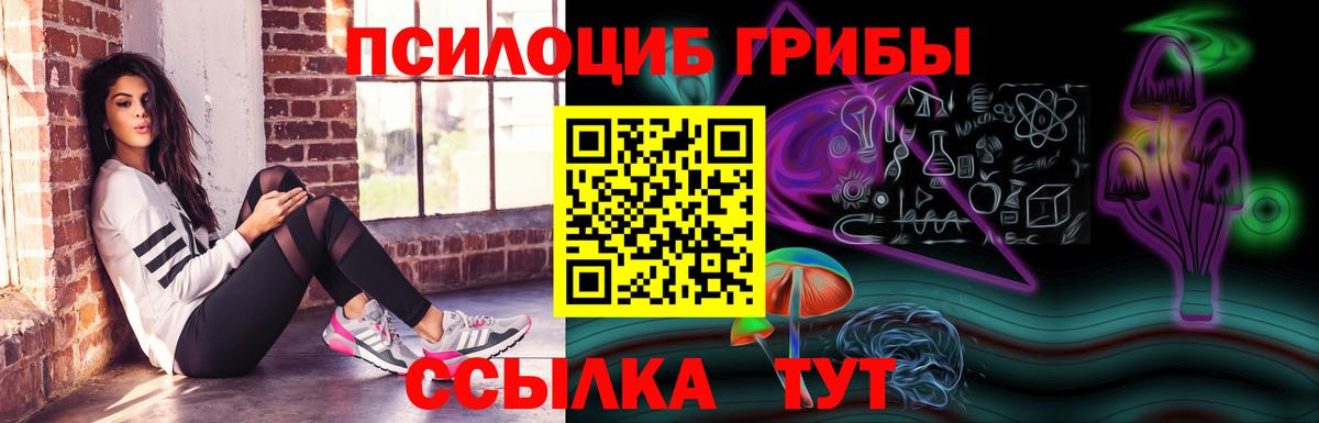 Галлюциногенные грибы Psilocybe  Вход с VPN  Псилоцибиновые грибы ЛСД  Комсомольск-на-Амуре 